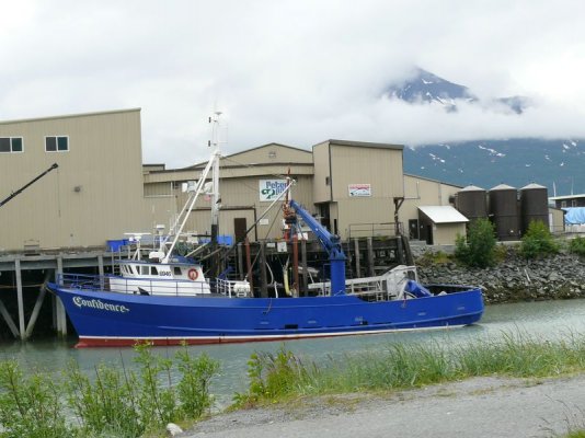 Unloading Fish [800x600].JPG