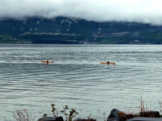 Kayakers [800x600].JPG