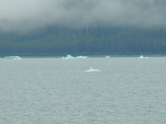 Icebergs[800x600].JPG
