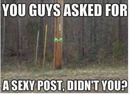 sexy post.JPG