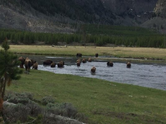 Tatanka Crossing_1 (Small).JPG