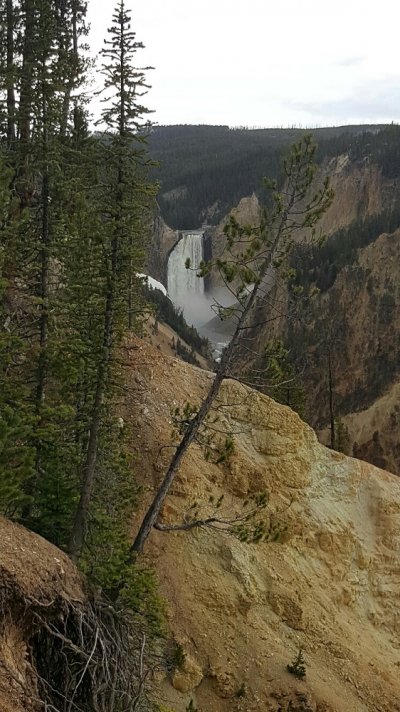 yellowstone 5.jpg