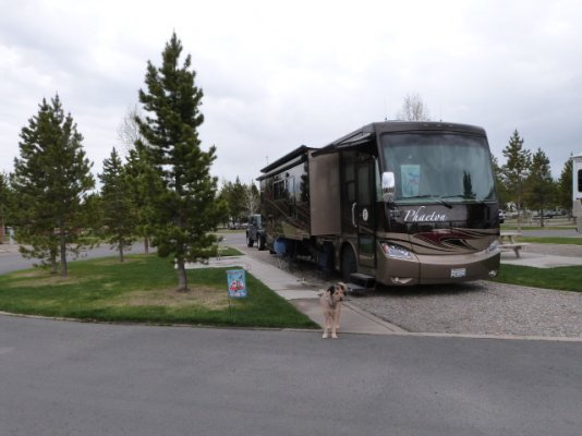 Grizzly RV site.JPG