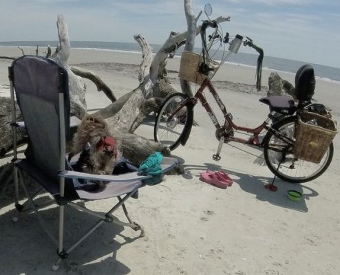 beach bum bicycle outpost.jpg