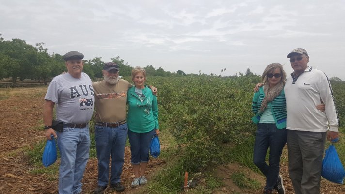 blueberry pickers.jpg