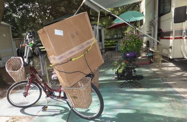 How to haul a big box home.jpg