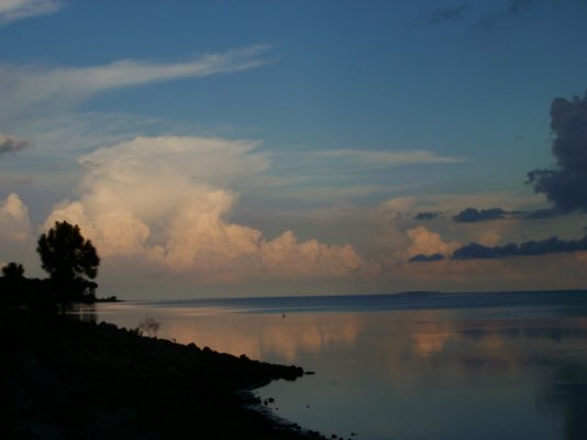 Aplachicola bay looking east.jpg