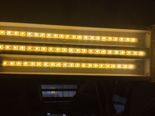 led 3.JPG