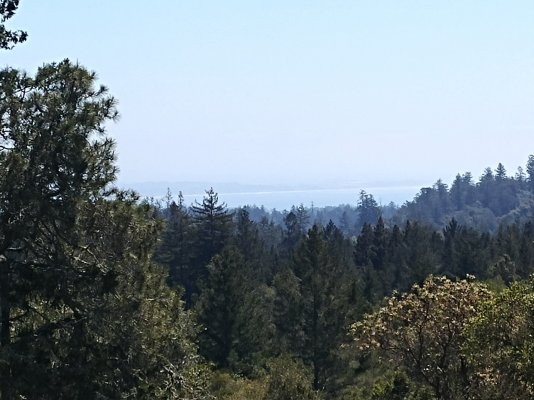 Santa Cruz harbor from observation deck.jpg