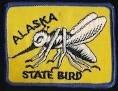 Alaska State Bird 2.jpg