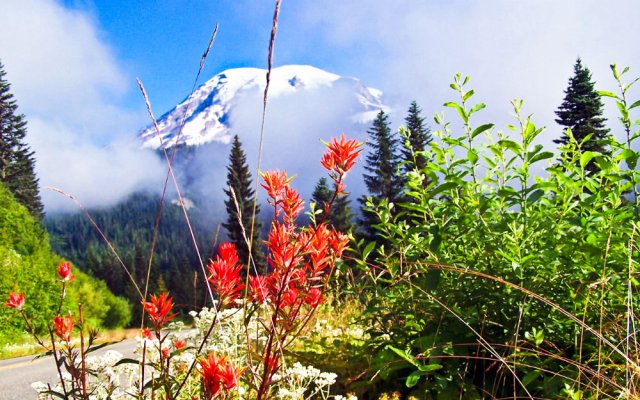 Mount Rainier 1.jpg