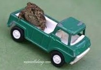 toad in truck.jpg