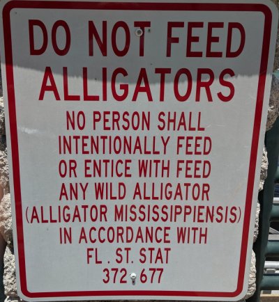Don't feed gators.jpg