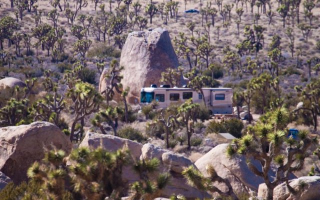 Cool Campsite at Joshua Tree NP (1).jpg