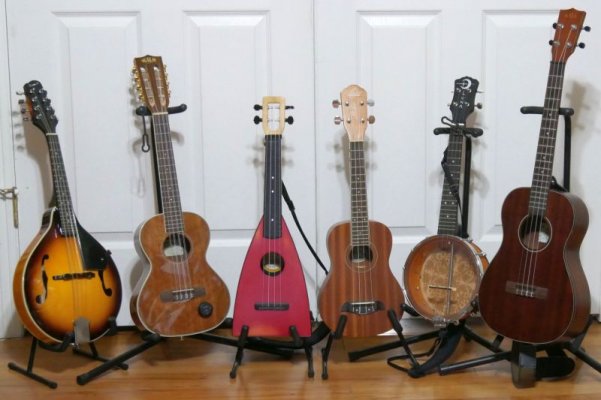 Small_stringed_instruments-2.jpg