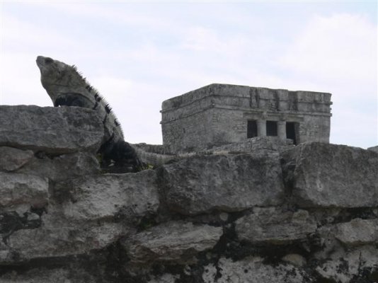 Tulum27 (Small).JPG