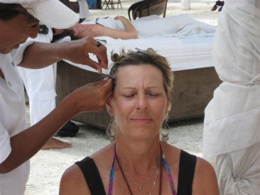 Sandy Corn rows (Small).JPG