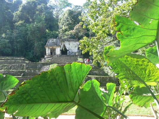 Palenque08 (Small).JPG