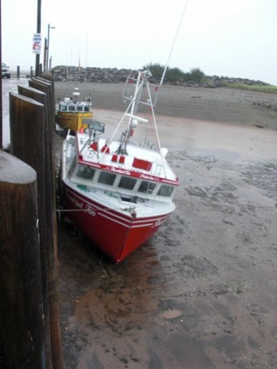 Alma Low Tide [800x600].JPG