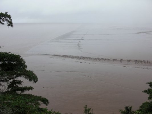 Hopewell Rocks Low Tie [800x600].JPG