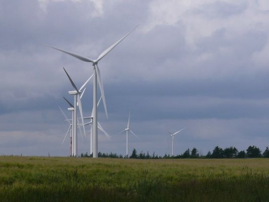 Eastpoint Windmills [800x600].JPG