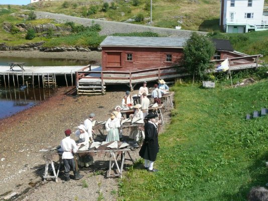 Fish Making [800x600].JPG