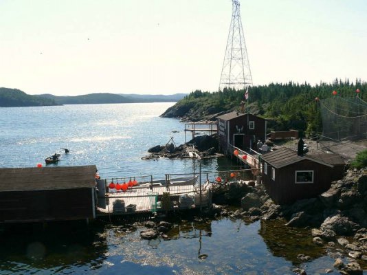 Prime Berth Fish Premises [800x600].JPG