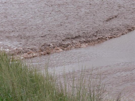 Tidal Bore13 (Medium).JPG