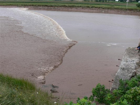 Tidal Bore14 (Medium).JPG