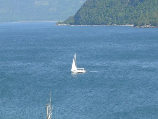 Sailing Bonne Bay [800x600].JPG