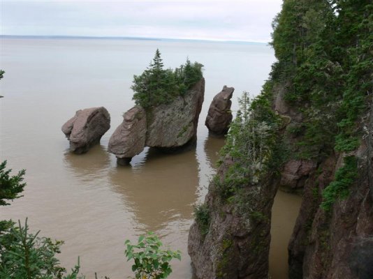 Hopewell Rocks12 (Medium).JPG