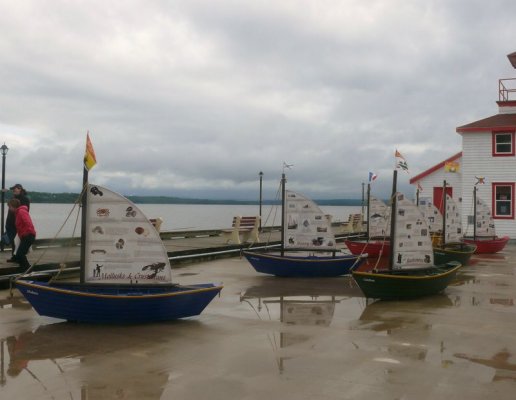 Fisheries Display at Hector Quay [800x600].JPG