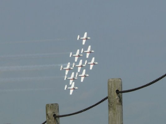 Snowbirds [800x600].JPG