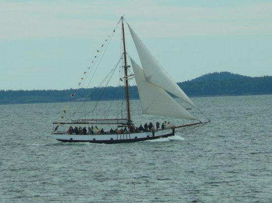 Whale Sailing Charter off Campground [800x600].JPG
