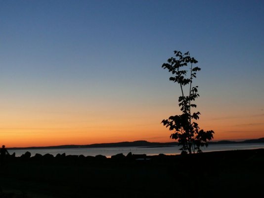 Sunrise At St Andrews [800x600].JPG