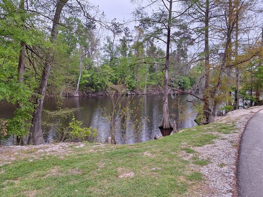 Calcasieu West Fork River across from campers.jpg