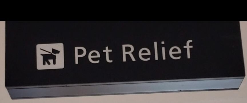 Pet Relief.jpg