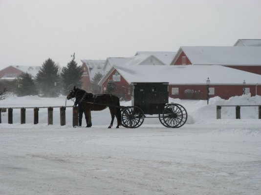 12s Amish Transport.jpg