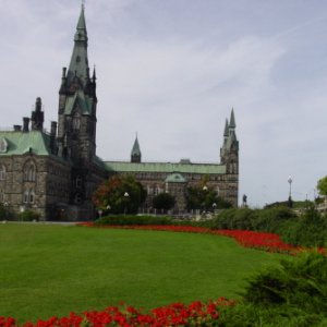 Ottawa West Block garden