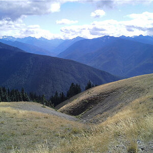 hurricane_ridge.jpg