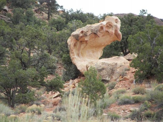 Capitol Reef NP 010 (Medium).jpg