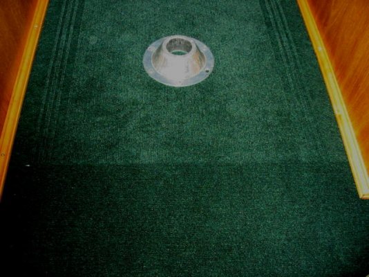 Wife's Carpet-2.JPG