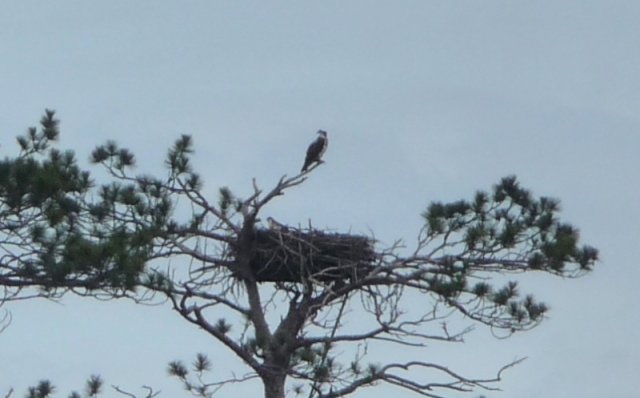 33 Eagles Nest.JPG