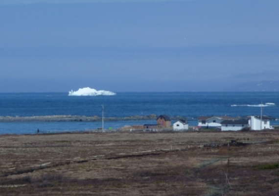 82 Looking North from L'Anse aux Meadows.JPG
