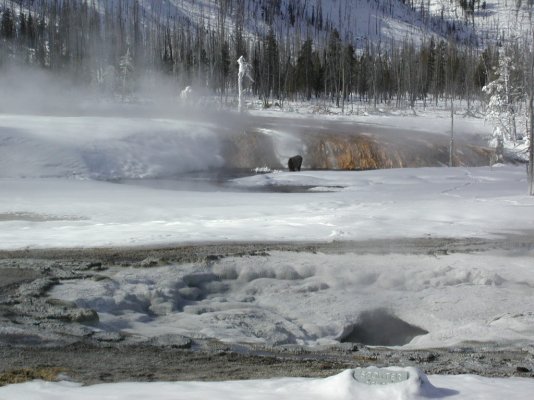 Yellowstone_02-04-02_040.JPG