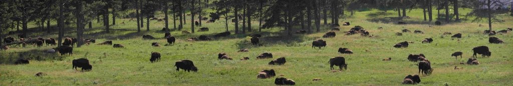 Custer Panorama 4-2.jpg