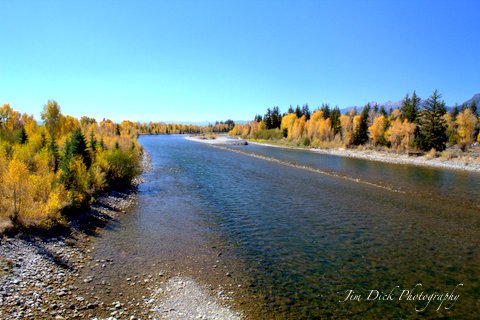 Snake River at Moose Junction.jpg