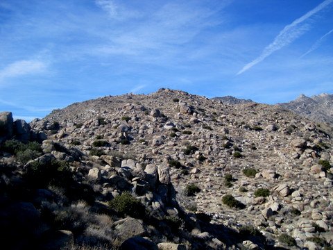 View of terrain.JPG