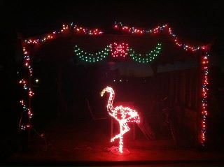Flamingo Christmas.jpg