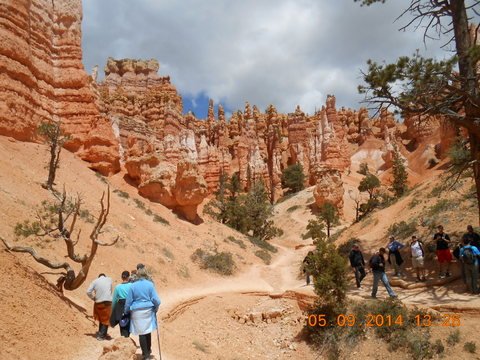 Navajo trails 2014 Byrce 044.JPG